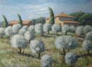 21. Olive Grove, Tuscany, 2004<br>Oil on canvas - 23.5" x 31.5" (60 x 80 cm)