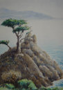 802. USA, Lonely Cypress, 1997<br>
Watercolor - 15 x 10.5 (40 x 28 cm)