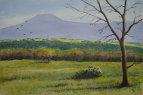 910. USA, Mount Pedernal N.M. 2005<br>
Watercolor - 12 x 18 (30 x 45 cm)