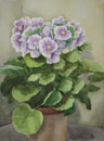 120. Primroses, 2006<br>
Watercolor, 11" x 15" (38 x 27 cm)