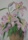 121. Lily Flowers, 2004<br>
Watercolor, 13" x 9.5" (32 x 24 cm)