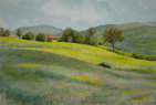 1005. Tuscany, Springtime, 2008<br>
Watercolor - 15 x 21.5 (37 x 55 cm)